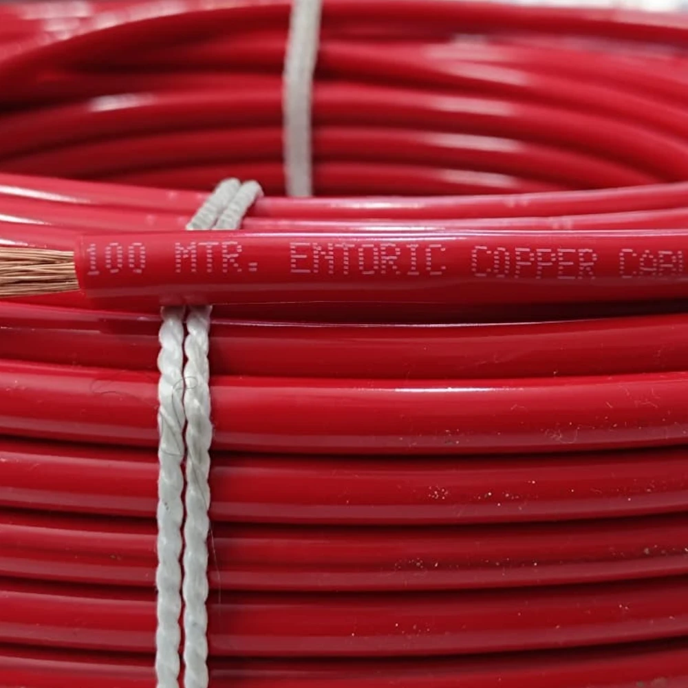 Entoric 2.5 SQMM Secure Copper AC Cable, 100 Meter