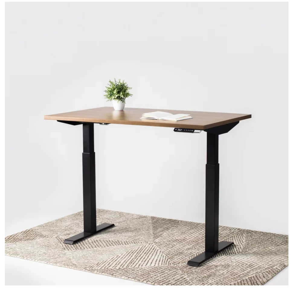 Single Motor Standing Desk - Forest