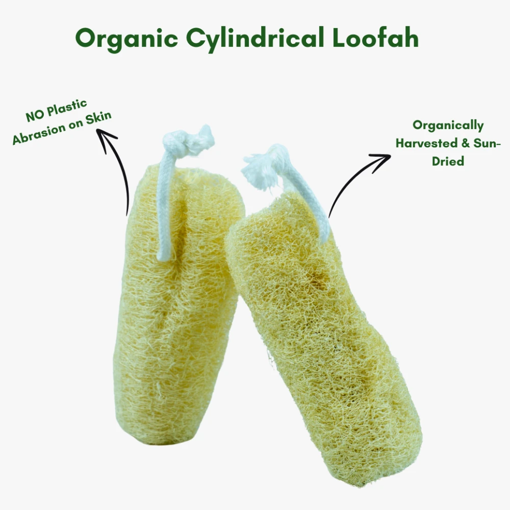 Organic Loofah (Cylindrical) - Pack of 3 Pcs