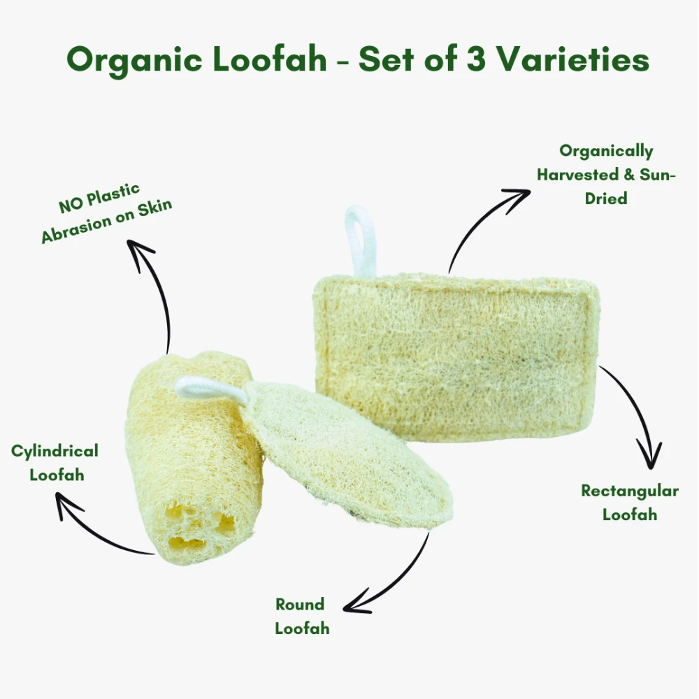 Organic Loofah - Set of 3 Varieties