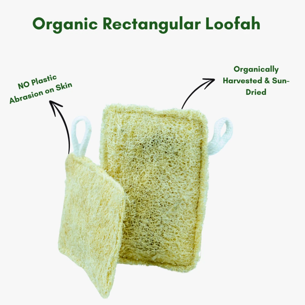 Organic Loofah (Rectangular)- Pack of 3 Pcs