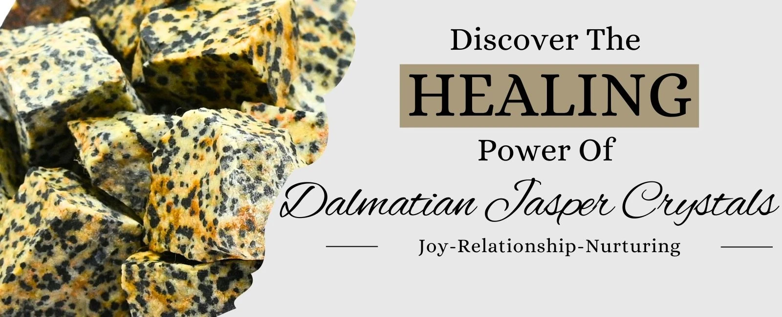 Dalmatian Jasper Benefits, Zodiac Sign, Healing Properties and Powers