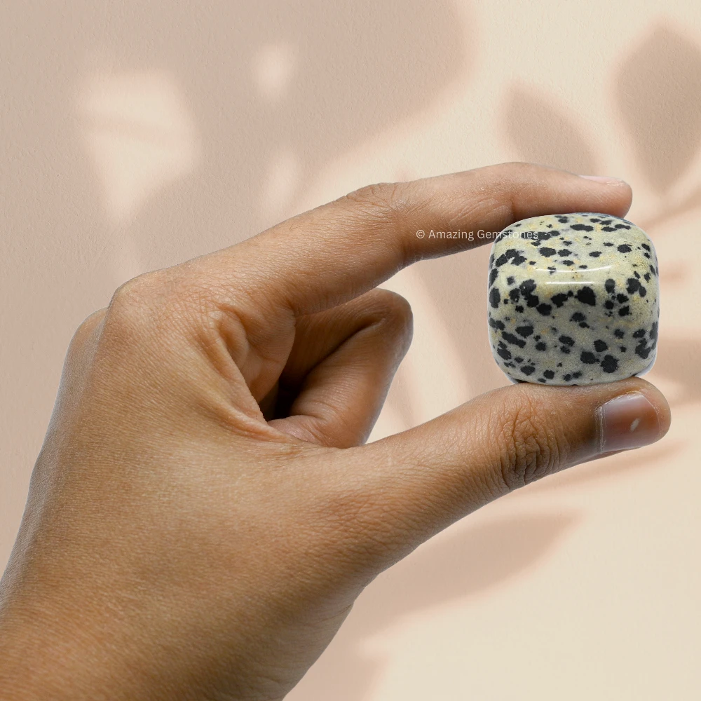 Tumbled Dalmatian Jasper Stone Crystals (1000+ Carats)