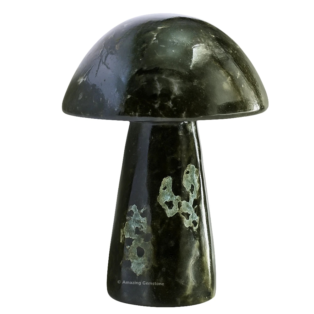 Nuummite Crystal Mushroom
