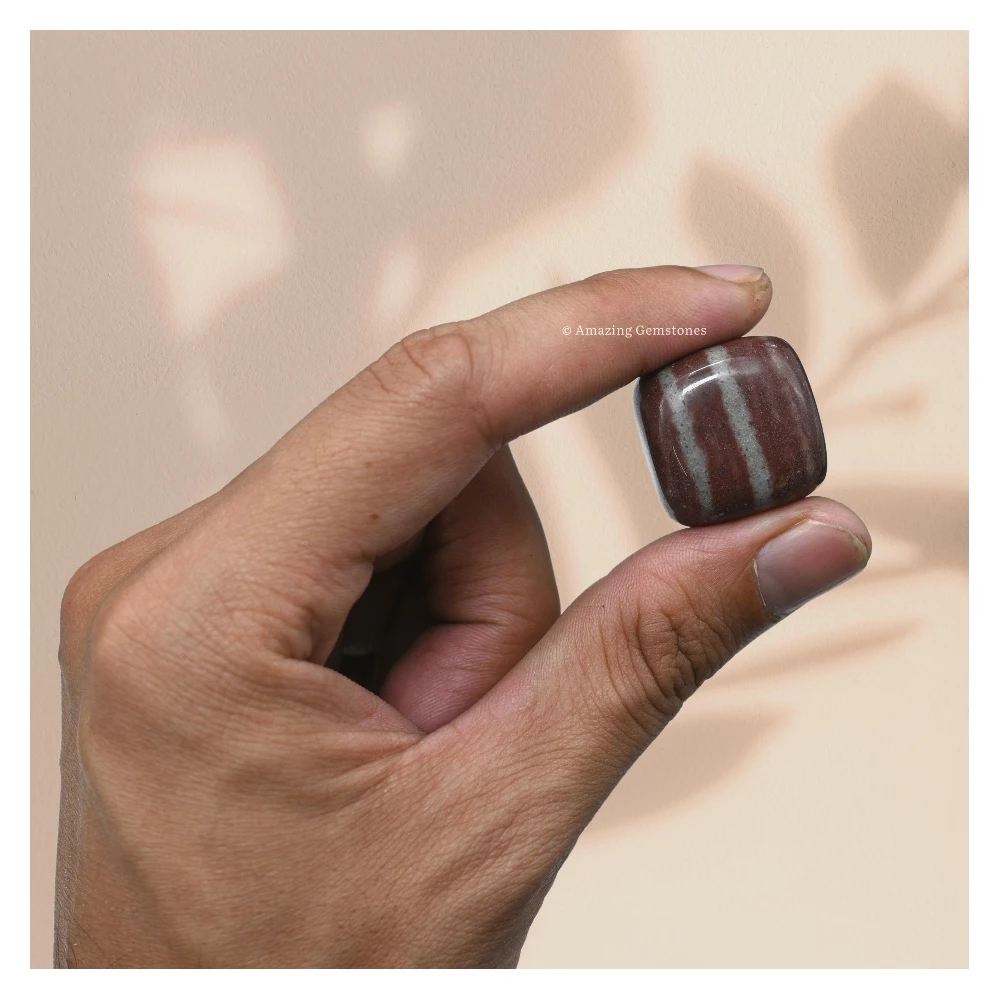 Tumbled Shiva Lingam Crystals Stones (1000+ Carats)