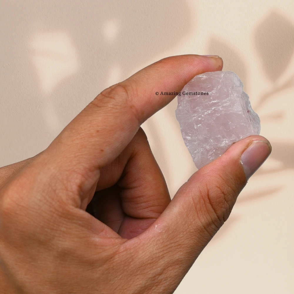 Star Rose Quartz Raw Crystals (2 Pieces)