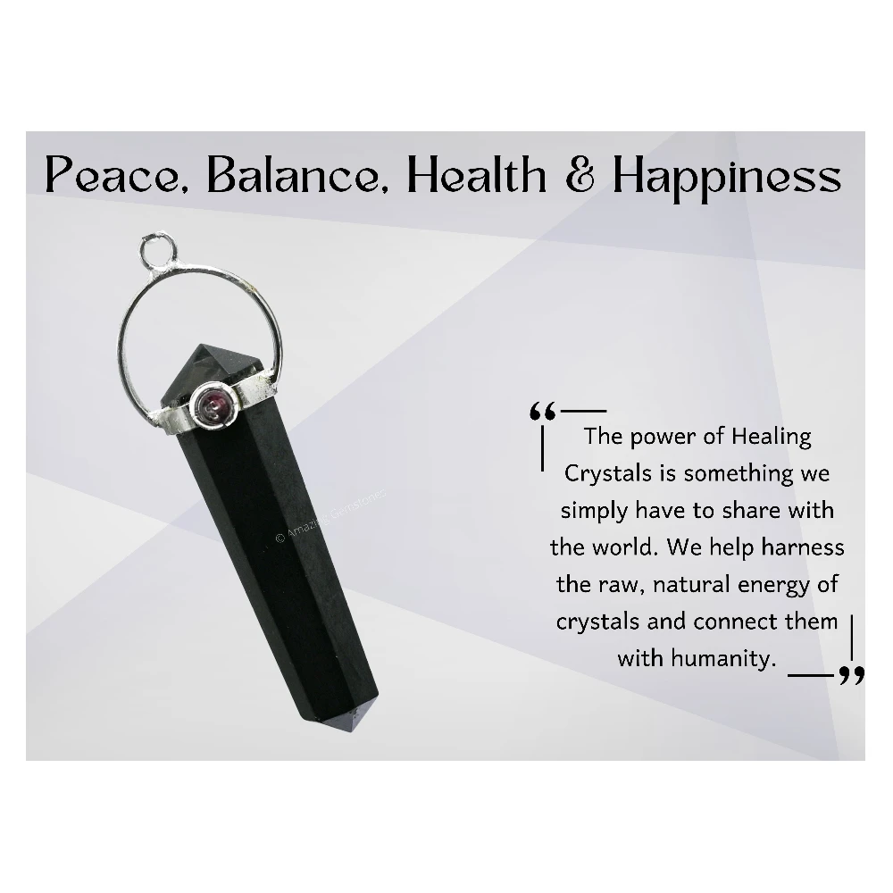 Shungite Necklace - D Shape with Garnet