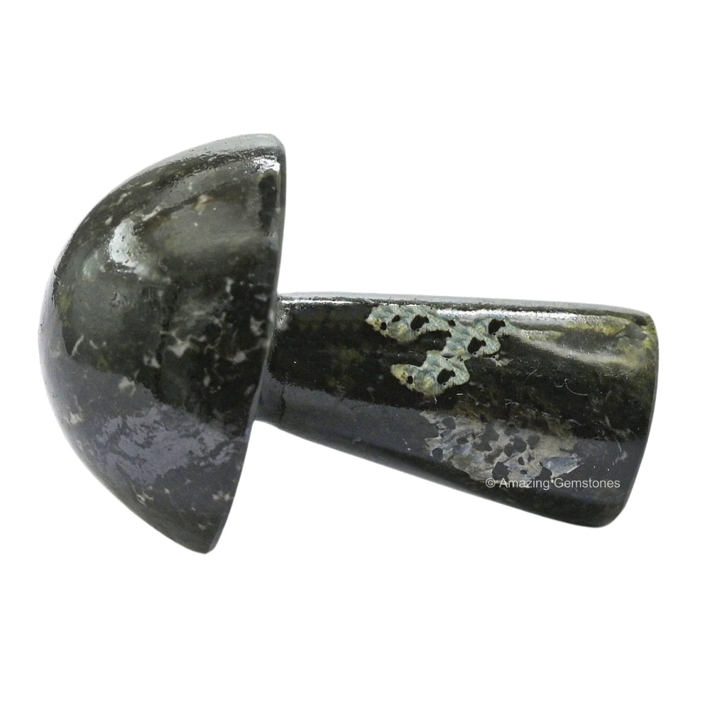 Nuummite Crystal Mushroom