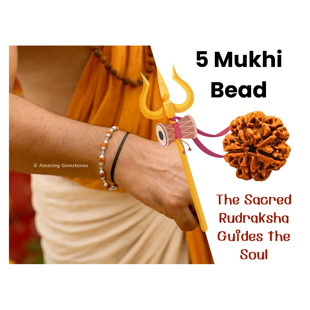 6mm Rudraksha Bracelet (Silver Chain)