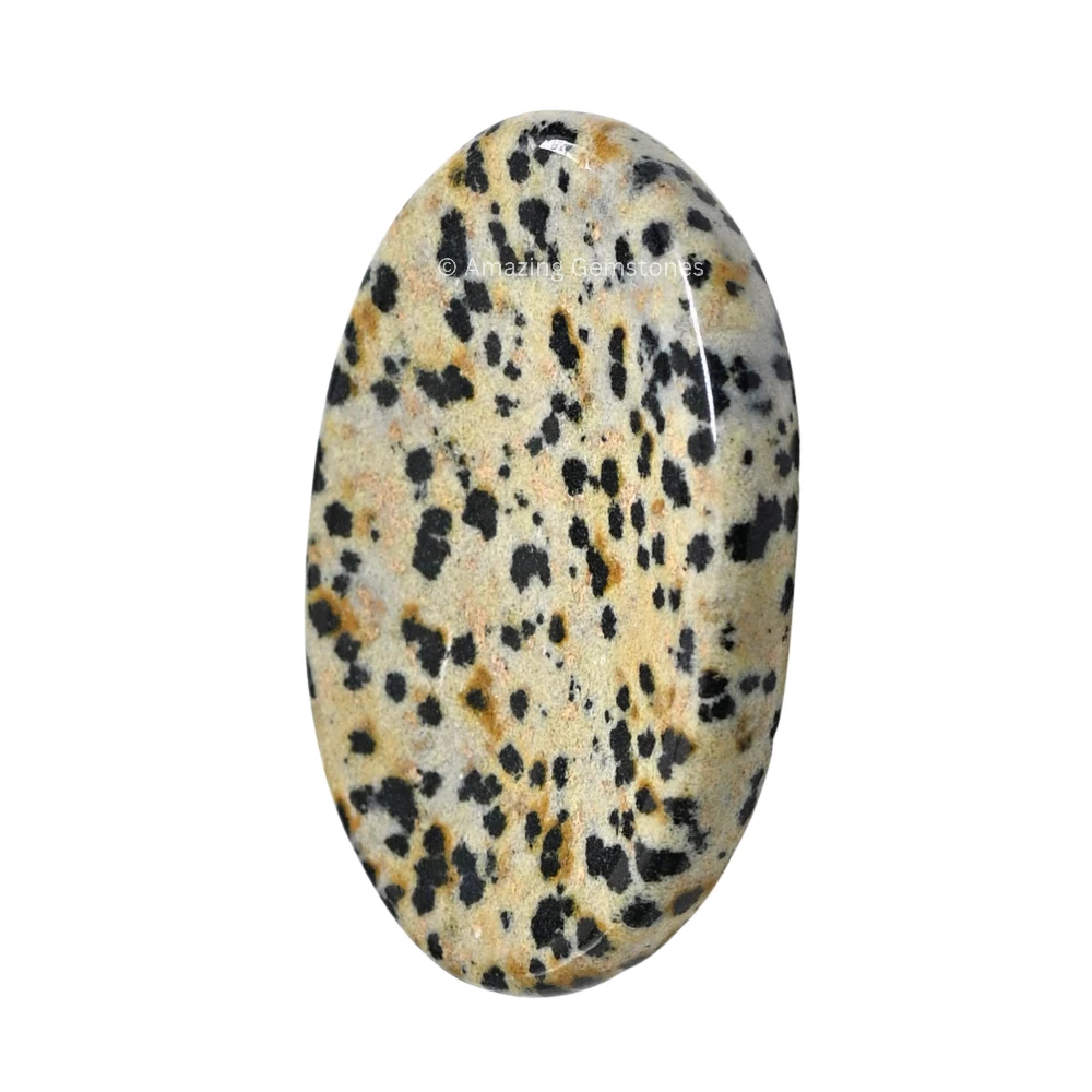 Dalmatian Jasper Worry Stone