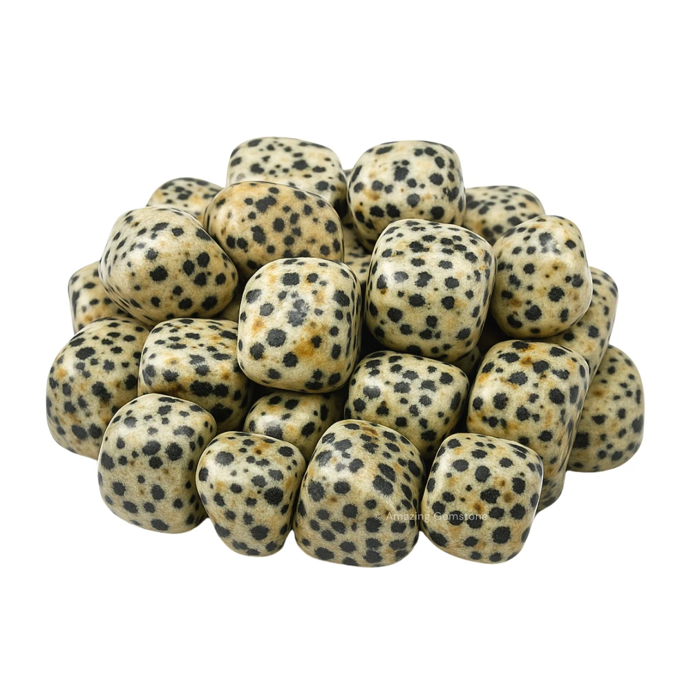 Tumbled Dalmatian Jasper Stone Crystals (1 oz)