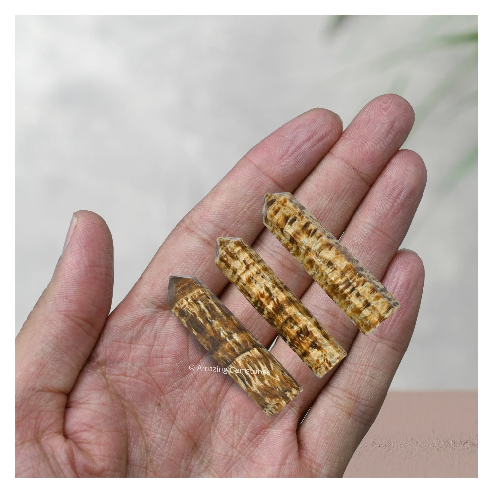 Aragonite Pencil Points (Set of 10)