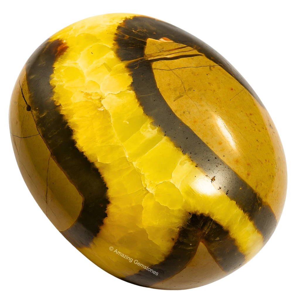 Septarian Palm Stone