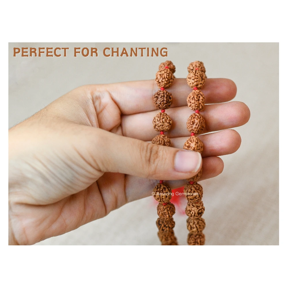 10mm Rudraksha Mala (Hand Knotted)