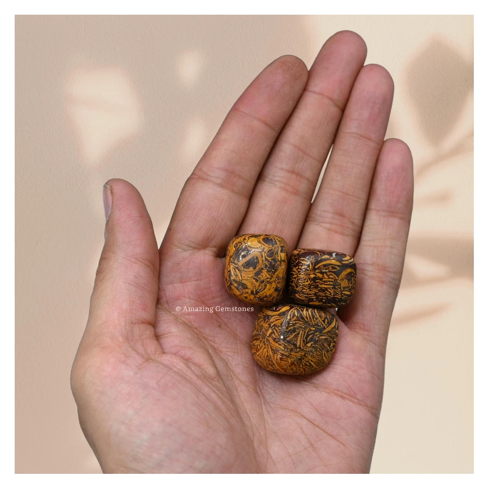 Tumbled Mariyam Jasper Crystals Stones (1 oz)