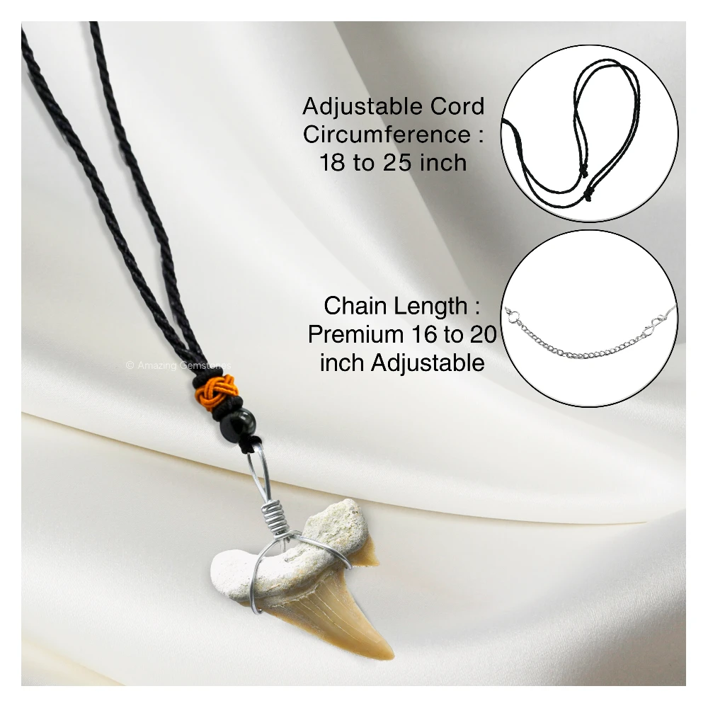 Shark Tooth Pendant