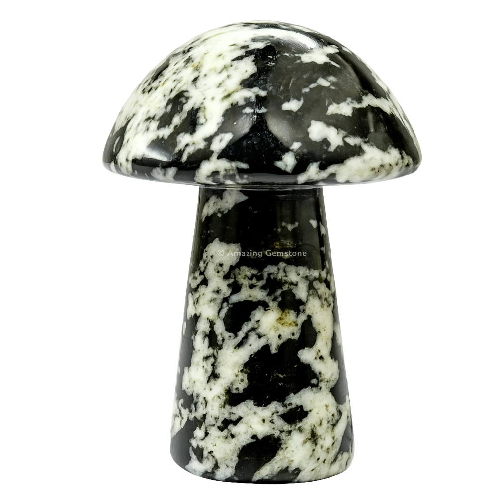 Black and White Tourmaline Crystal Mushroom