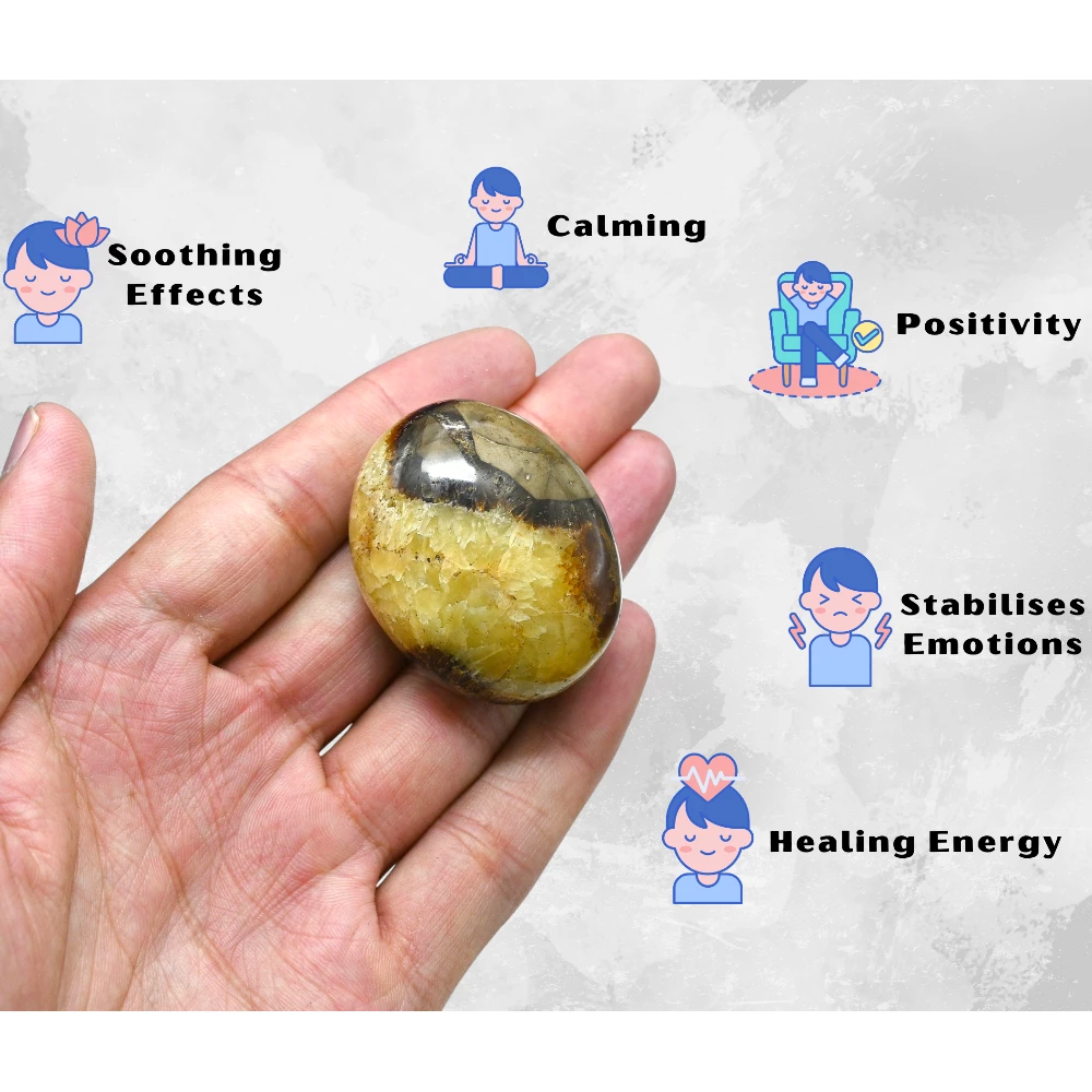 Septarian Palm Stone