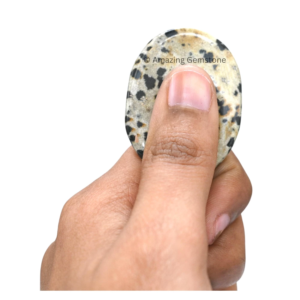Dalmatian Jasper Worry Stone