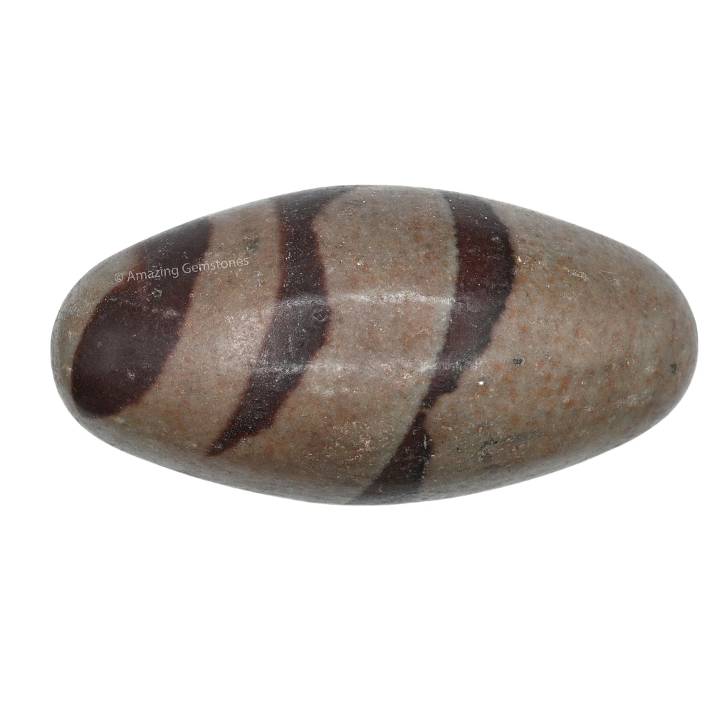 Narmadeshwar Shiva Lingam Stone(Unpolished) (1.5 Inch)