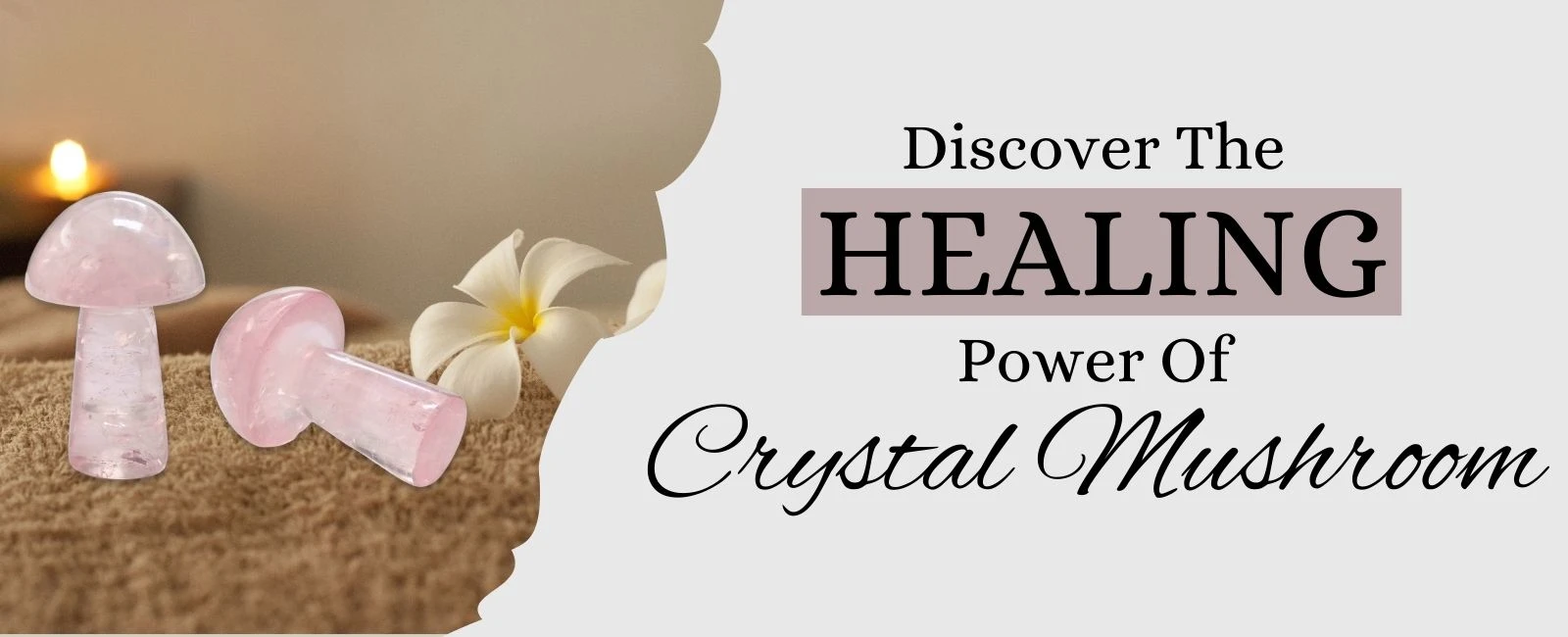 Crystal Mushrooms: Nature's Art with Healing Properties
