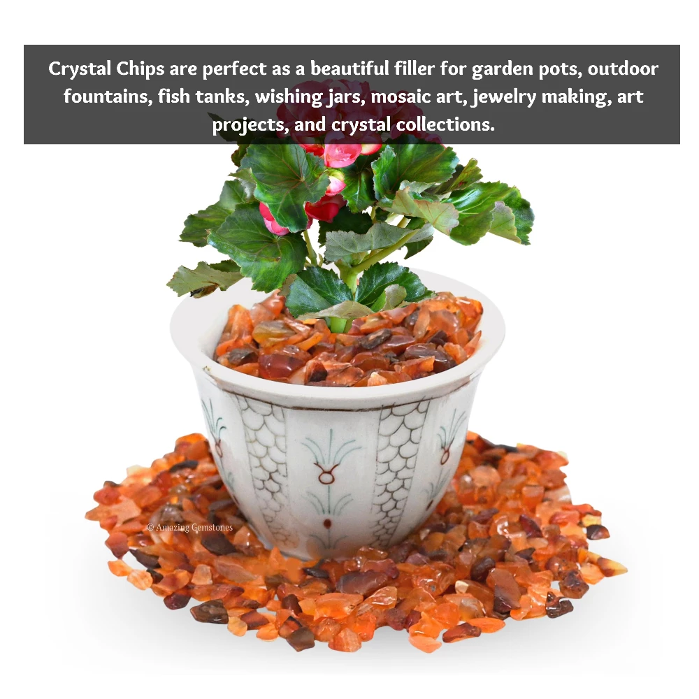 Carnelian Chips (1LB)