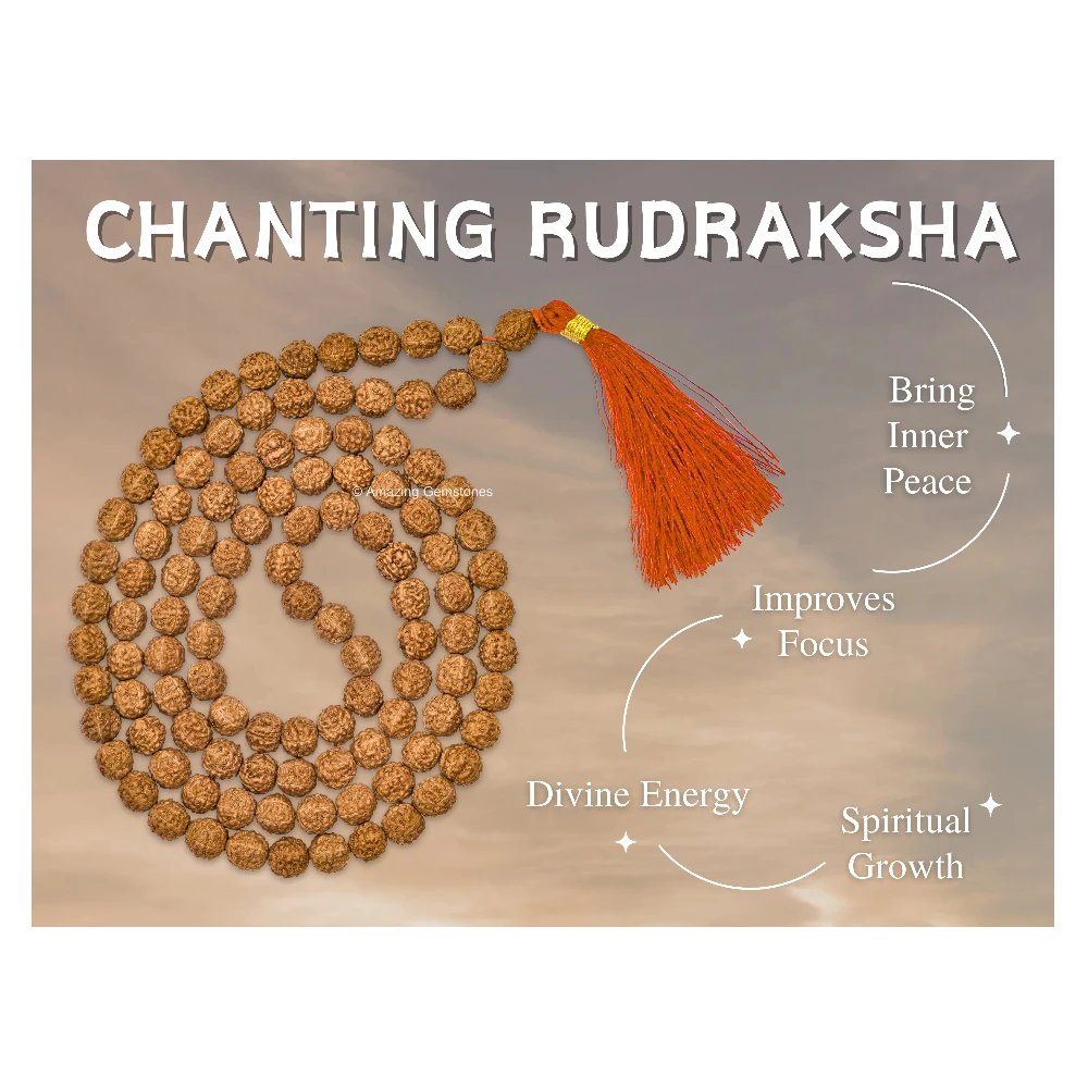 10mm Rudraksha Mala (Without Knot)