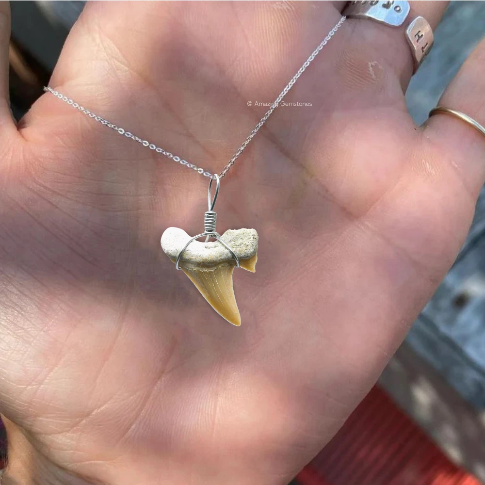 Shark Tooth Pendant