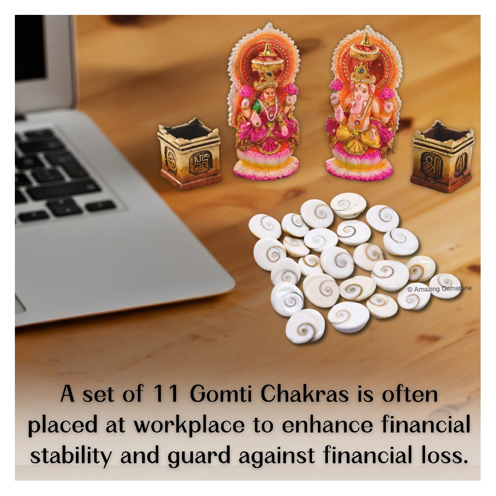 11 Pieces Gomti Chakra (10mm)