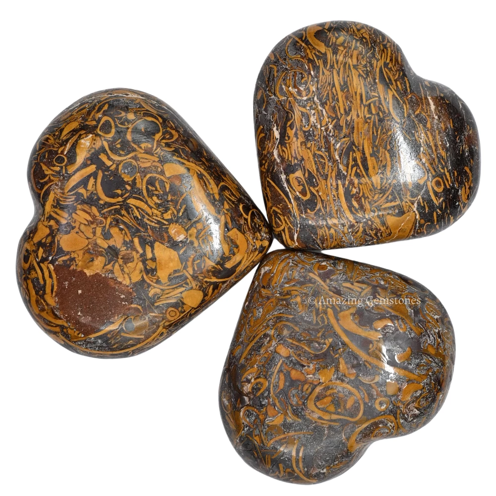 Mariyam Jasper Heart