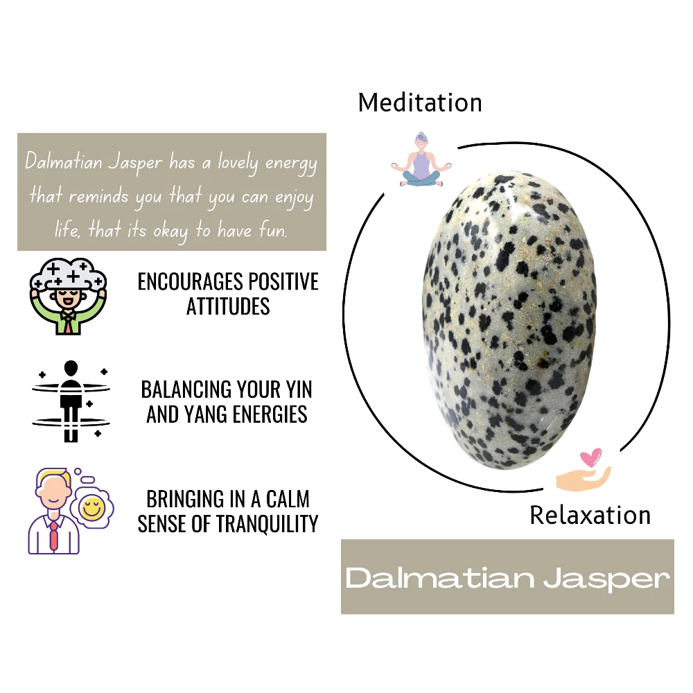 Dalmatian Jasper Palm Stone