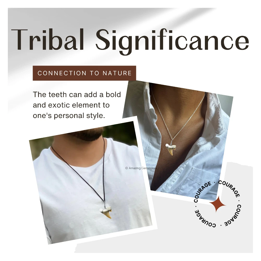 Shark Tooth Pendant