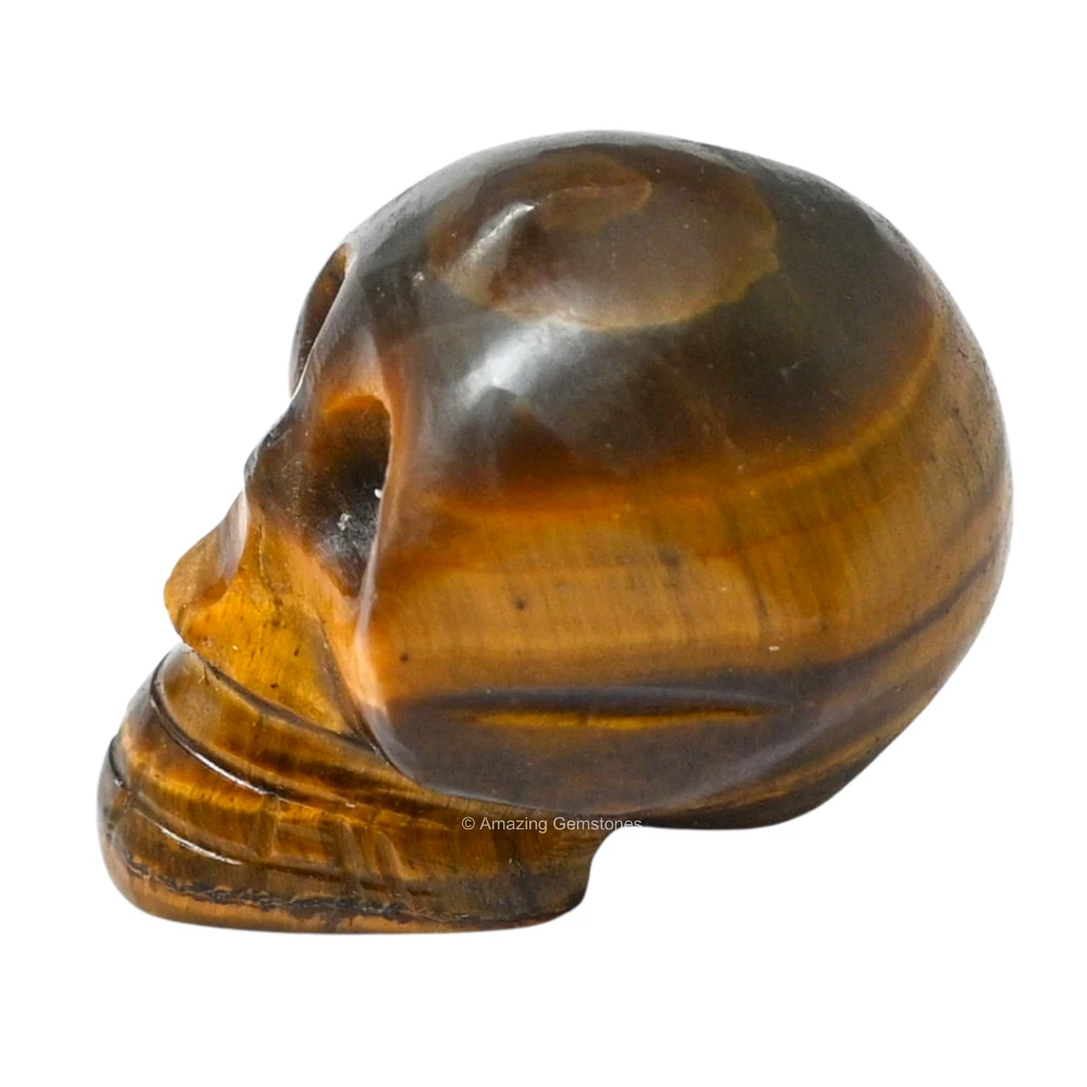 Tiger Eye Skull