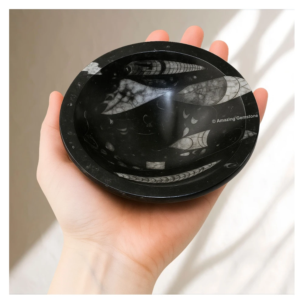 Orthoceras Fossil Kuber Stone Bowl (4 Inch)