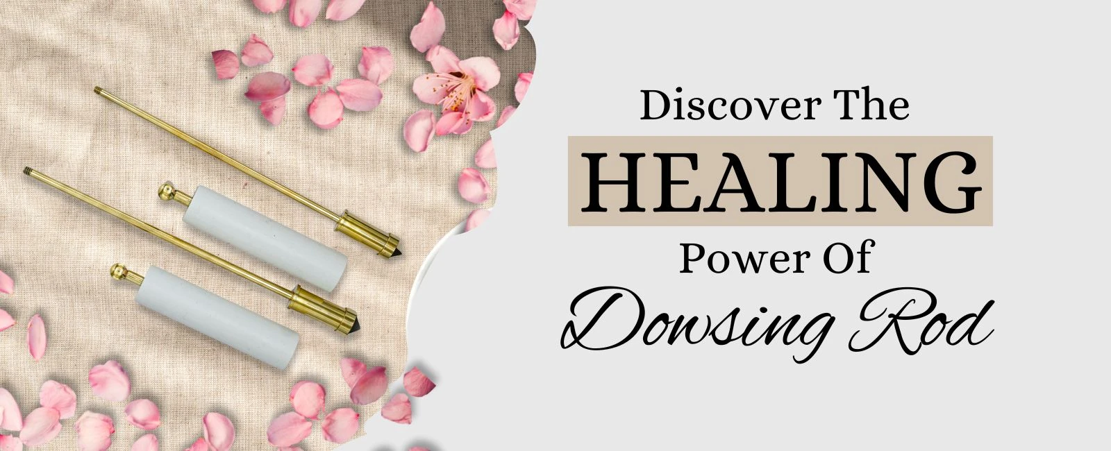 The History and Magic of Dowsing Rods Explained