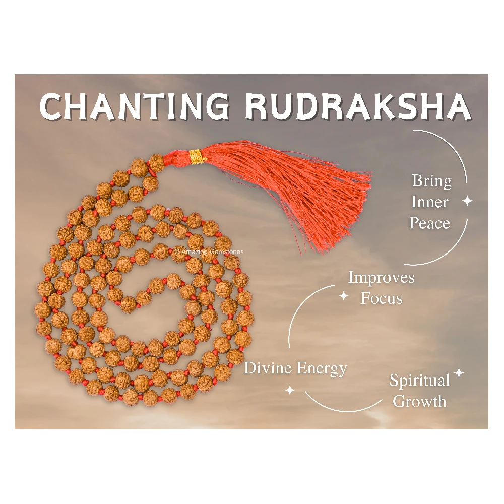 6mm Rudraksha Mala (Hand Knotted)