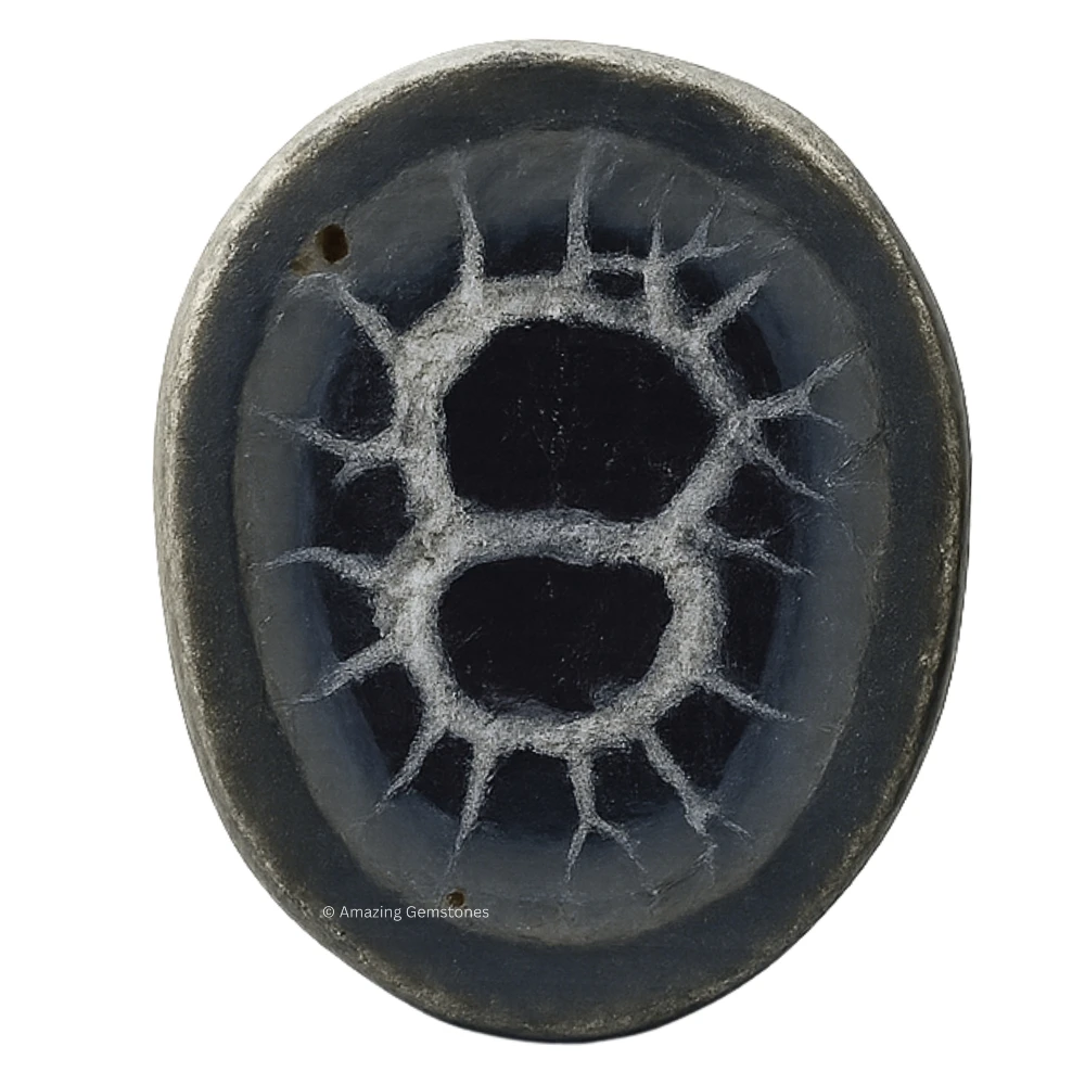 Septarian Nodules Crystal Mineral Specimen Peck of 2 (Small)
