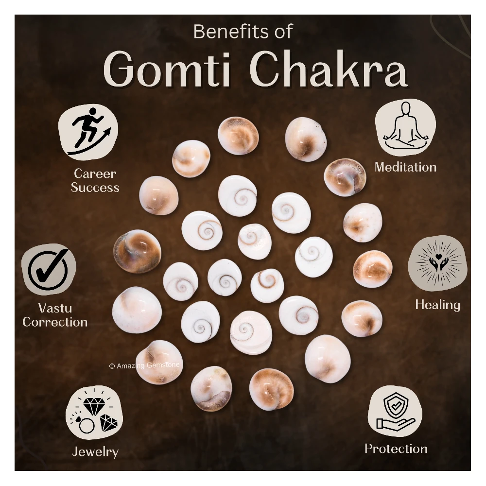 11 Pieces Gomti Chakra (10mm)