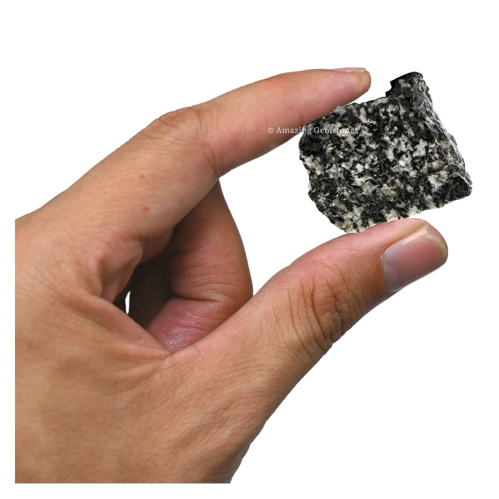 Black & White Tourmaline Raw Crystals (2 Pieces)