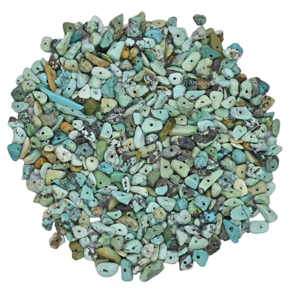 Turquoise Chips - Pre Drilled