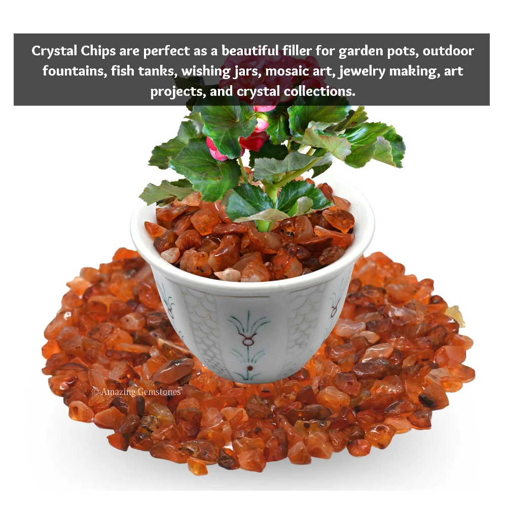 Carnelian Chips - Pre Drilled