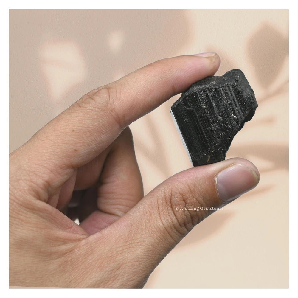 Black Tourmaline Raw Crystals (5 Pieces)