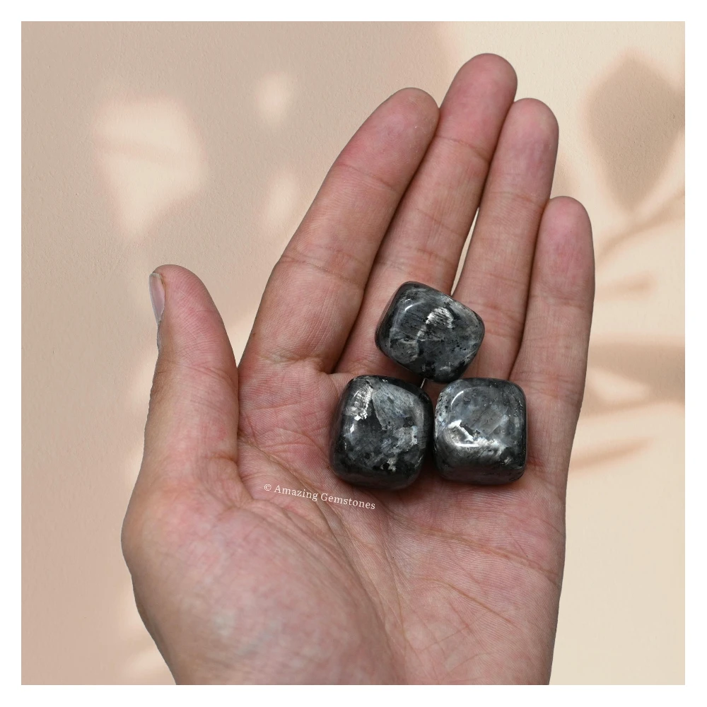 Tumbled Larvikite Crystals Stones (1 oz)