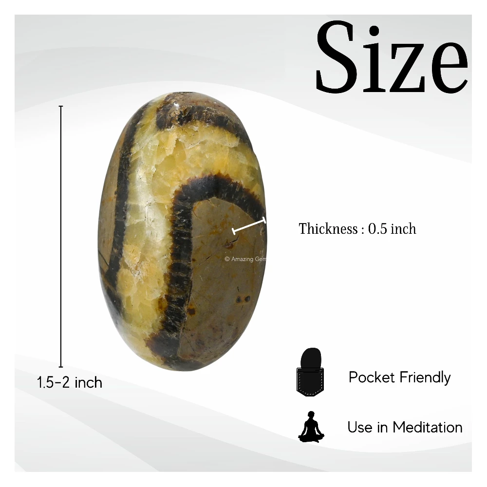 Septarian Palm Stone