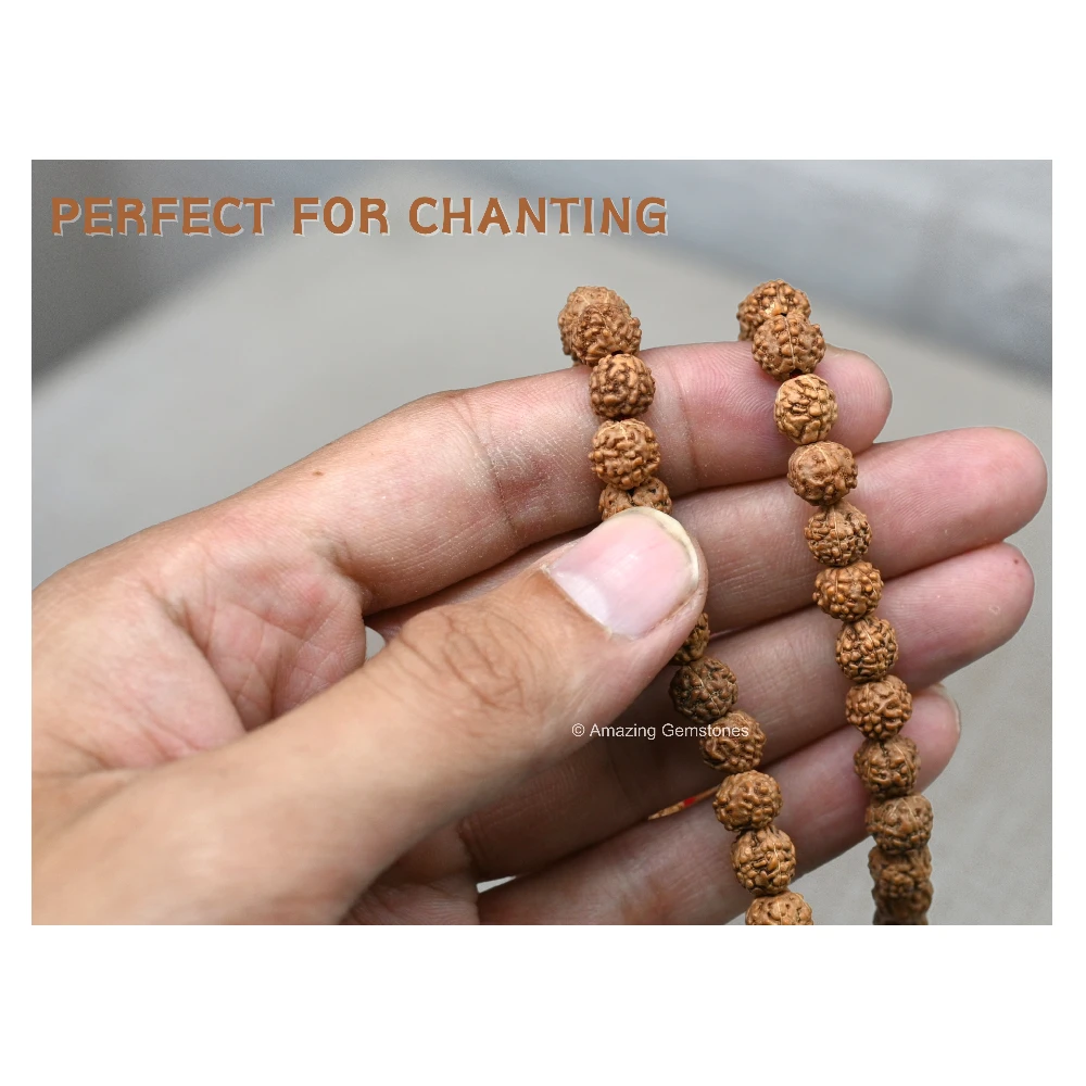 Rudraksha Mala (Without Knot)