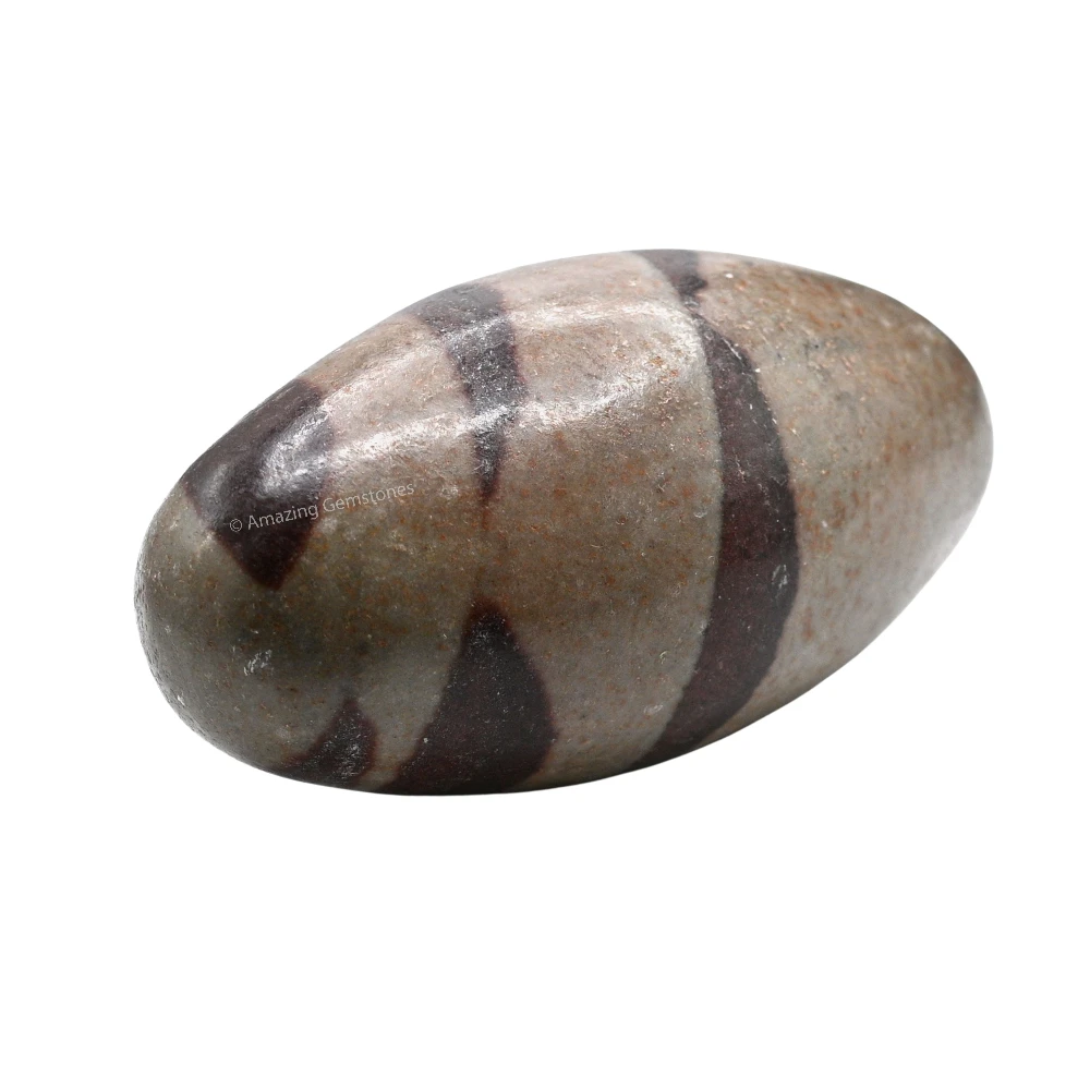 Narmadeshwar Shiva Lingam Stone(Unpolished) (3-3.5 Inch)