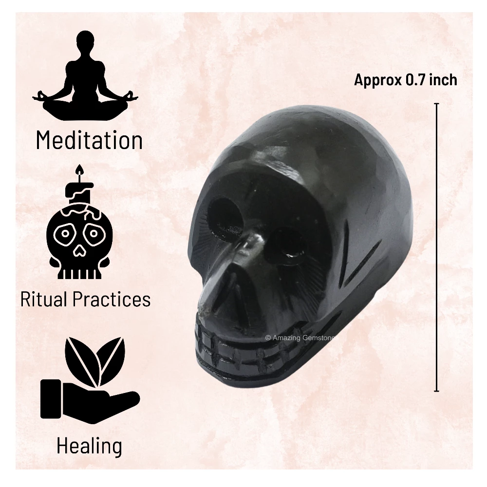 Shungite Skull