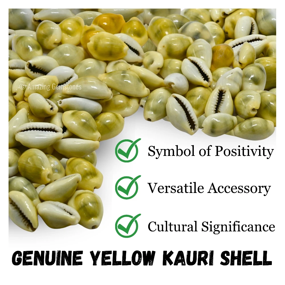 Yellow Cowrie Shells (Set of 11)