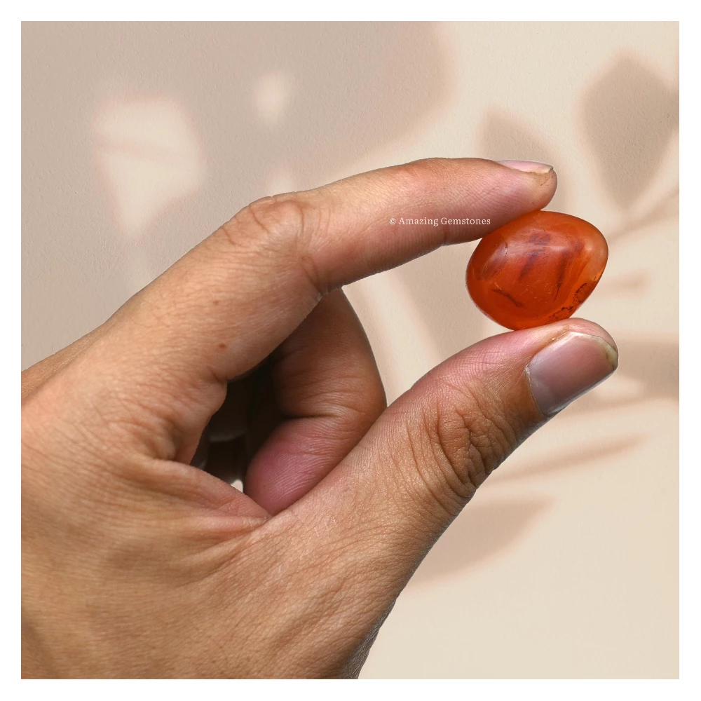 Tumbled Carnelian Crystals Stones (1000+ Carats)