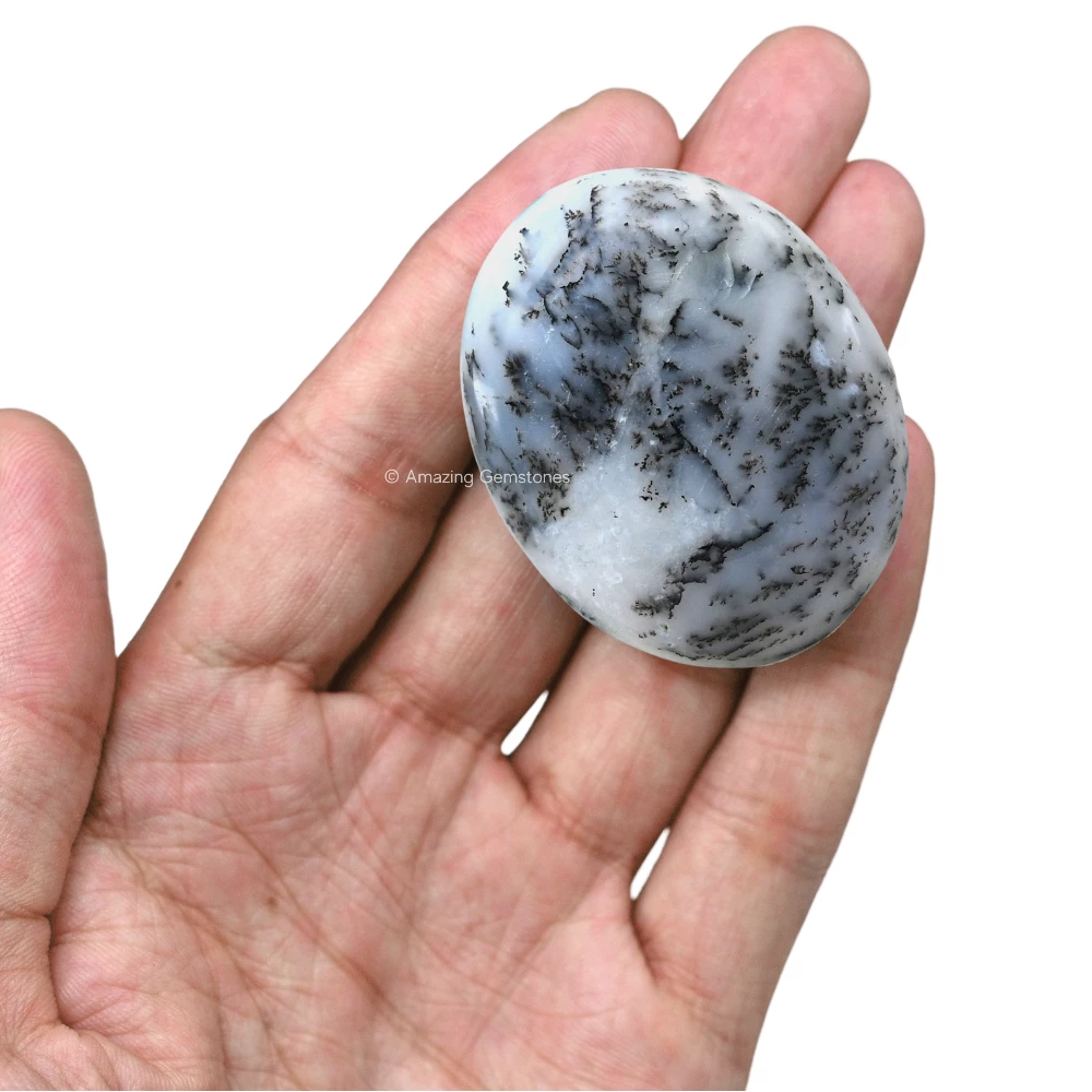 Dendrite Opal Palm Stone